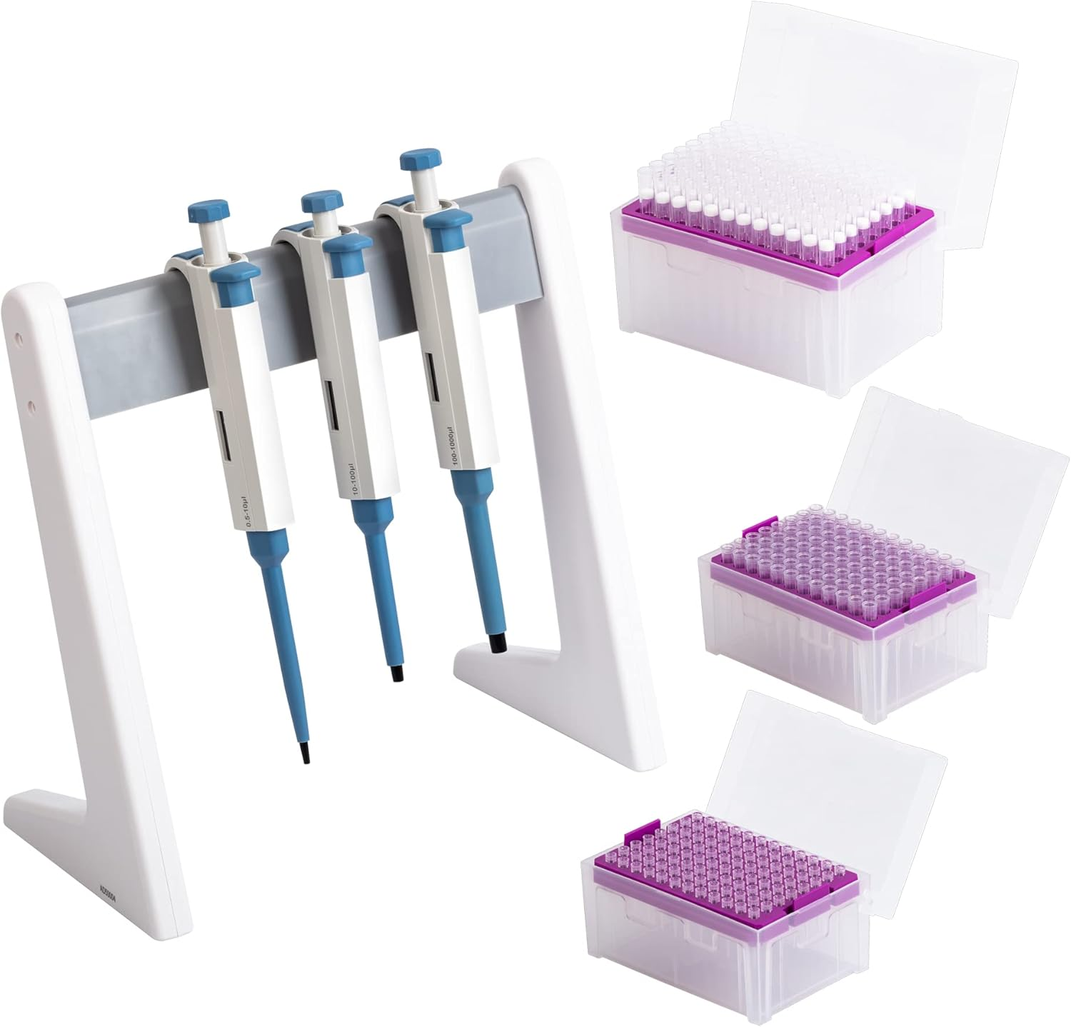 Pipette stand holding multiple pipettes securely